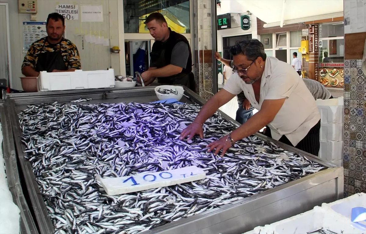 hamsi avciligi umit veriyor rDp3Twfb