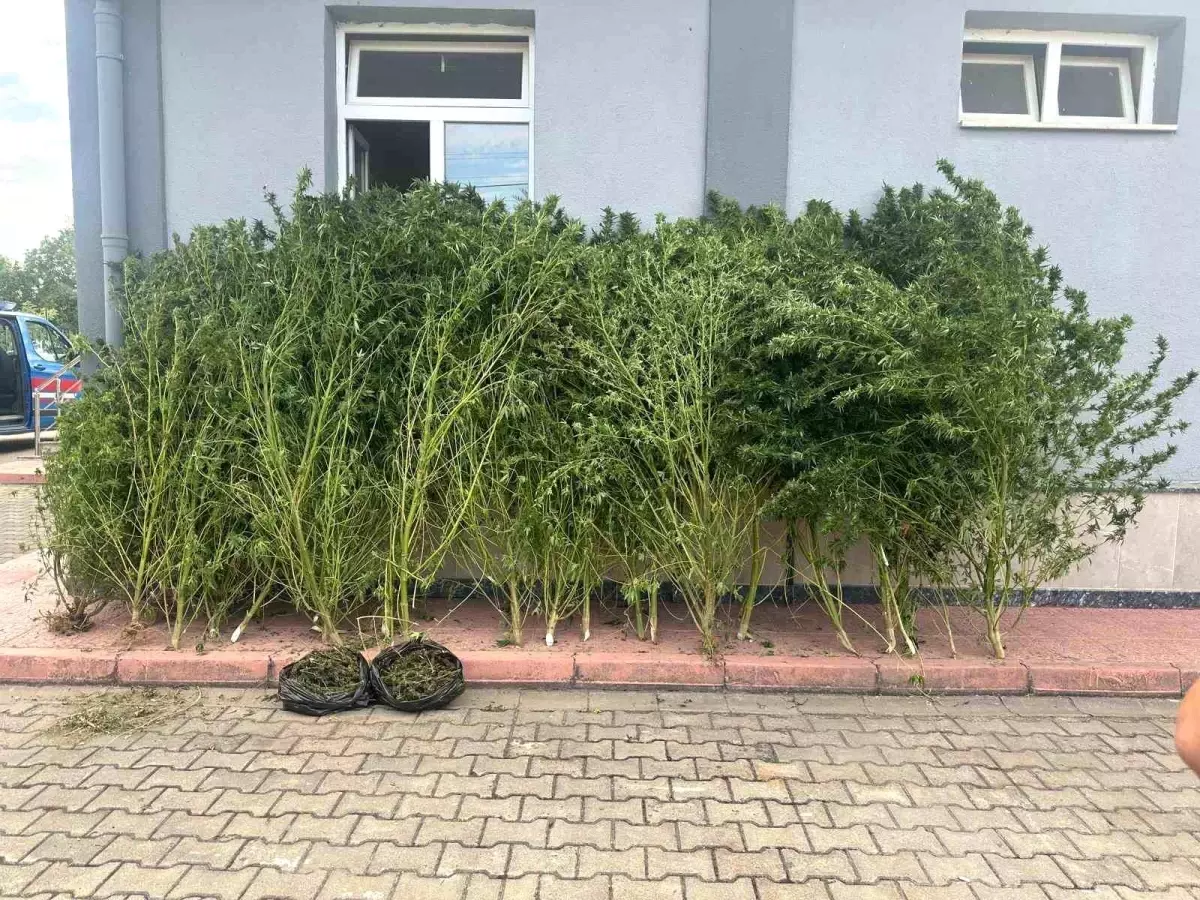 inegolde uyusturucu operasyonu 7EgR2k2K