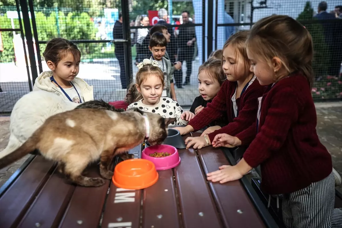 bursada sahipsiz hayvanlar icin merkez acildi ItQInqMu