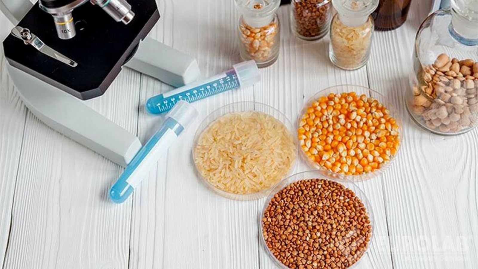 tmr ve kaba yemlerde yem analizi makinesi avantajlari 2qQzSnpm